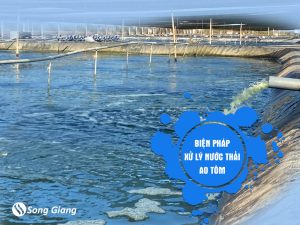 3 cách xử lý nước thải từ các ao nuôi tôm
