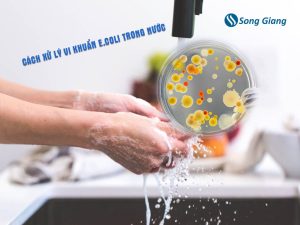 Cách xử lý vi khuẩn E Coli trong nước