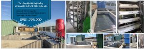 Nước thải chế biến thủy sản 350m3